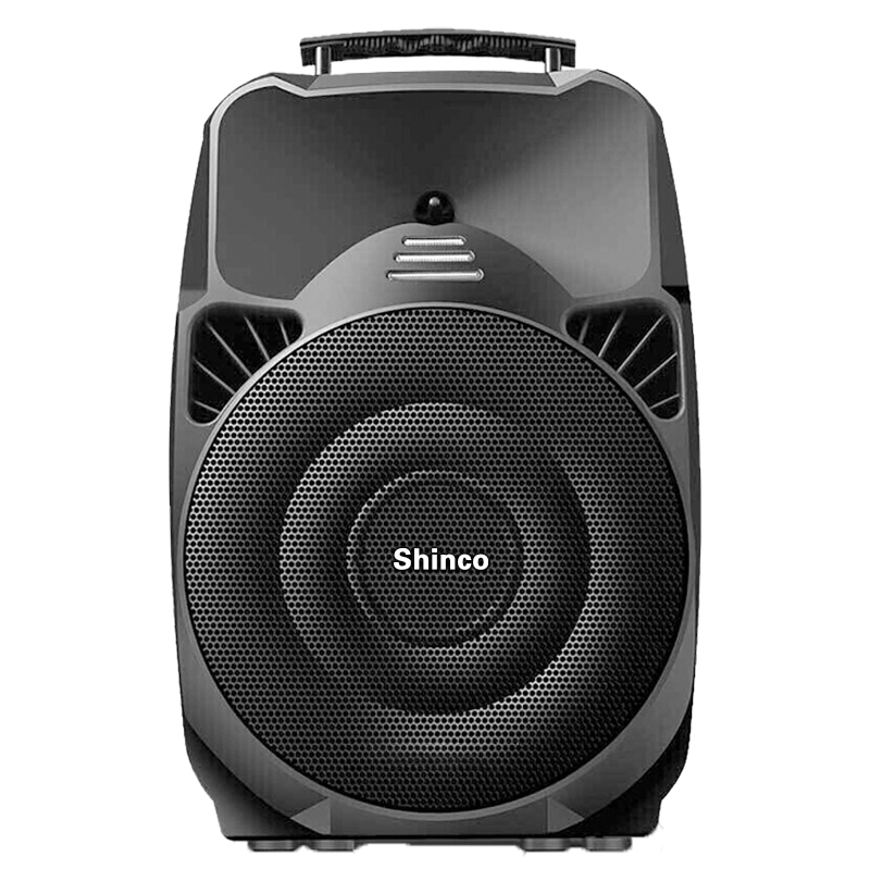 Speaker Shinco V89