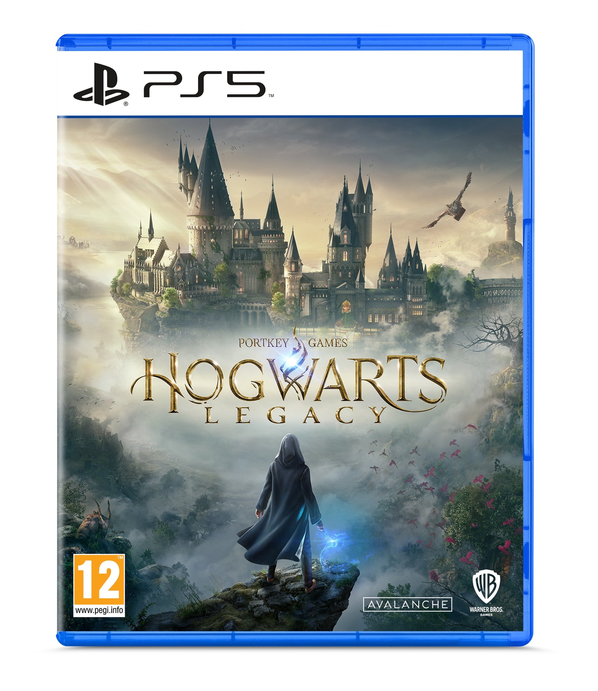 CD PS5 Hogwarts legacy