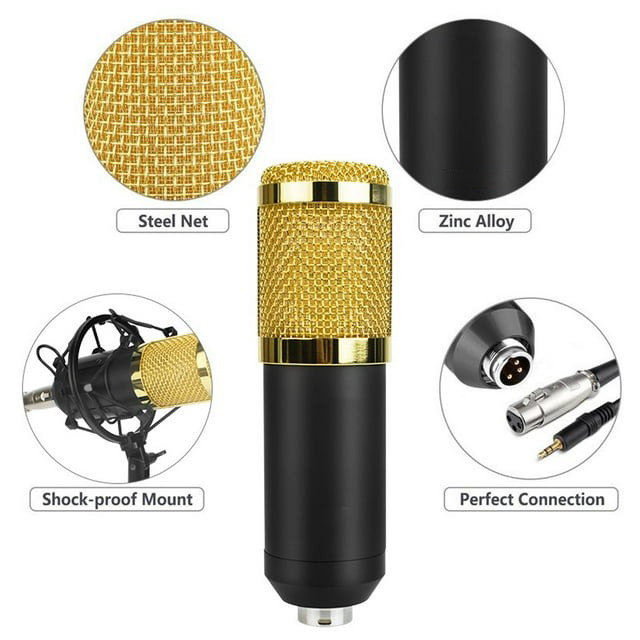 Professional Condenser Microphone With Audio